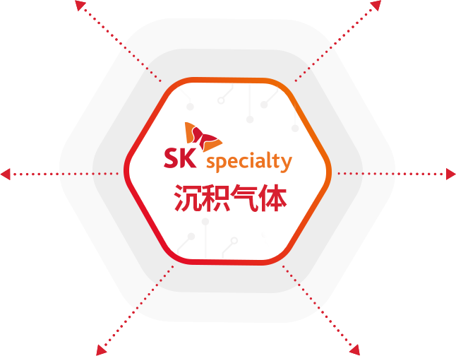 SK Specialty 증착가스